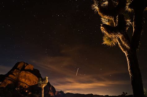 Star Gazing At Joshua Tree National Park Smithsonian Photo Contest