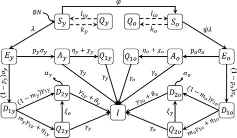 Mathematical Model Describing Covid 19 In São Paulo Brazil