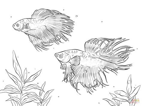 You may also furnish details as your child gets engrossed. Fish coloring page, Fox coloring page, Animal coloring pages