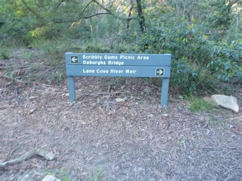 Lane Cove Tourist Park River Circuit Walking Track