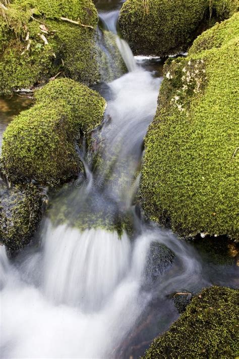 Waterfall Over Moss Covered Rocks Stock Photo Image Of Wild Clarity