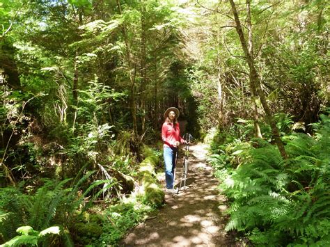 Hiking The Oregon Coast Trail The Ultimate Oregon Coast Trail Guide