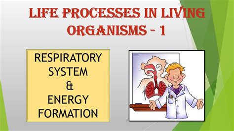 Life Processes In Living Organisms 1 Respiration Standard 10