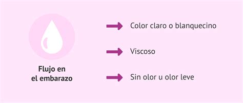 Características Del Flujo Vaginal Normal En El Embarazo