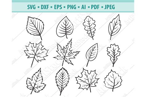 Leaf Svg, Leaves Svg, Autumn Svg, Fall Leaves Png , Dxf, Eps (721133