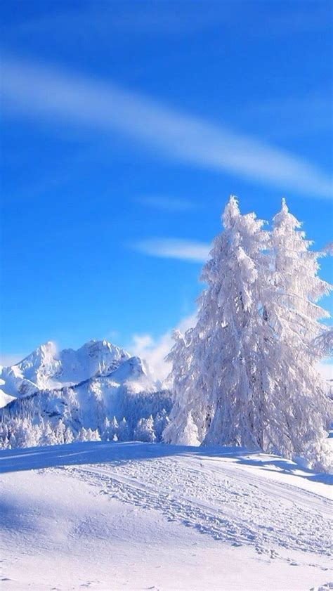 A Snowy Landscape With Trees And Mountains In The Background Under A