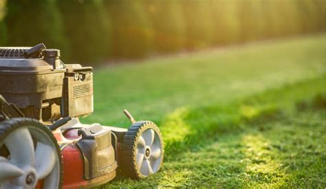 5 Mowing Mistakes To Avoid For A Healthy Beautiful Yard — Rismedia