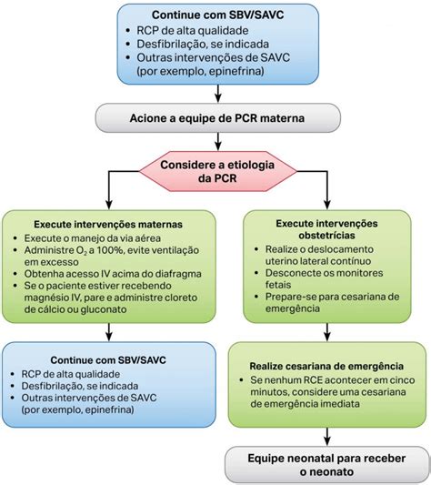 American Heart Association 2020 Português Pdf Aha 2020 22brasil