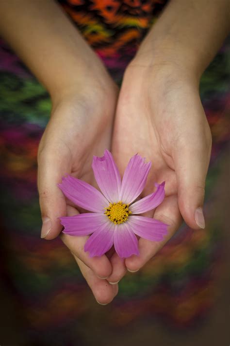 Hands Holding Flower Photograph By Debbie Pearson Fine Art America