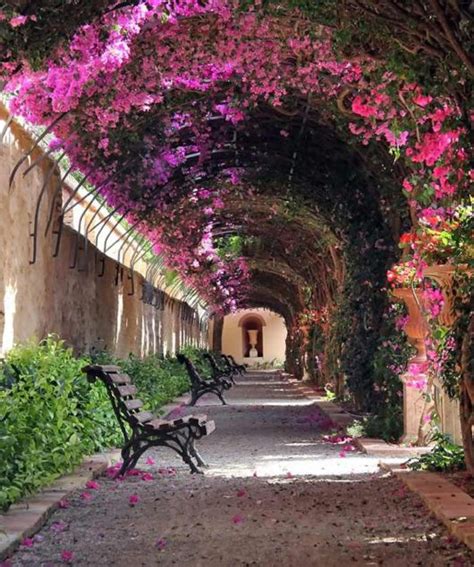 Stunning Flowery Streets In The World