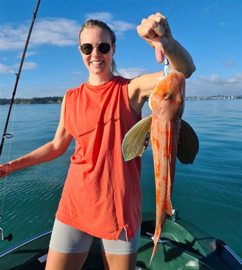 How To Catch Gurnard The Fishing Website The Fishing Website