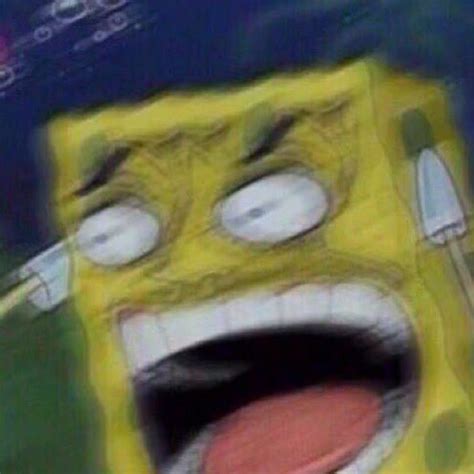 1080 x 1080 funny pictures which you are searching for is available for all of you here. Download Csuaii Trn Premium - Spongebob Mad Face Meme - HD ...