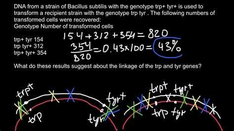 Frequency of a wave is given by the equations: How to Calculate Cotransformation frequency of bacteria ...