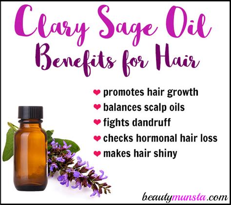 The primary compounds of clary sage essential oil are linalyl acetate, alpha terpineol, linalool, sclareol and geranyl acetate. Clary Sage Oil for Hair Growth & Lovely Locks - beautymunsta