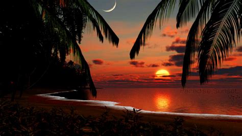 Ocean sunset definition sea widescreen beach wallpapers computer desktop scenic backgrounds wavy freecreatives background nature meaning windows wallpapertag wallpaperaccess. Free download Tropical Sunset Wallpaper Hd 1080P 12 HD ...