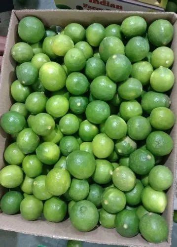 Fresh Green Lemon For Export Purpose Packaging Type Carton At Rs 1