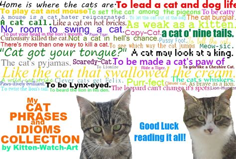 My Cat Phrases And Idioms Collection By Kitten Watch Art On Deviantart