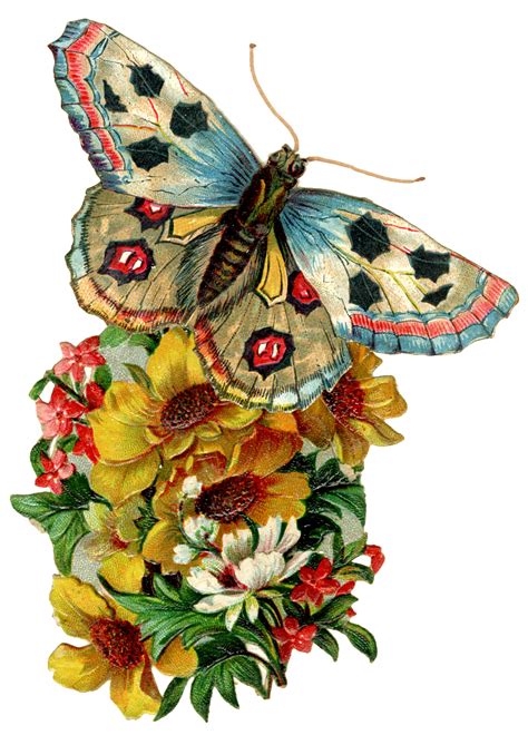 Graphic Of The Day Vintage Butterfly The Cottage Market