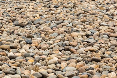 Free Images Beach Sand Rock Wood Ground Cobblestone Pebble