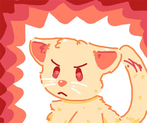 Angry Close Up Cat Drawception