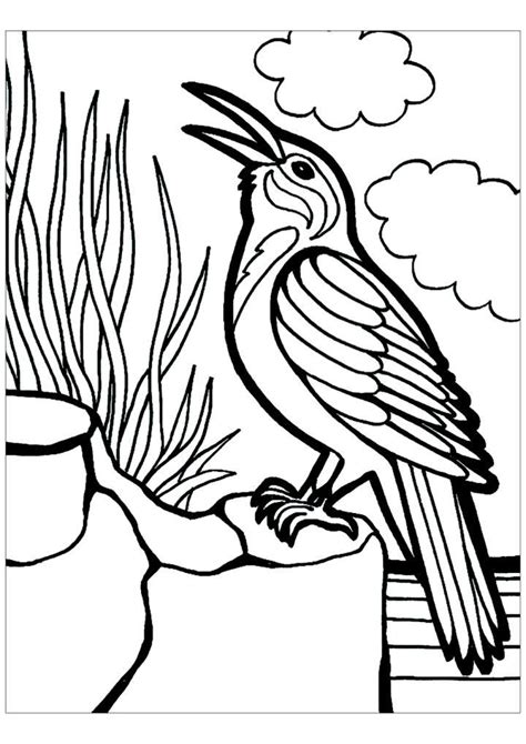 Free Bird Coloring Pages Pdf Coloringfolder Com Bird