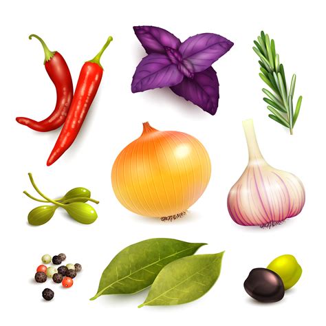 Herbs And Spices Set 453535 Vector Art At Vecteezy