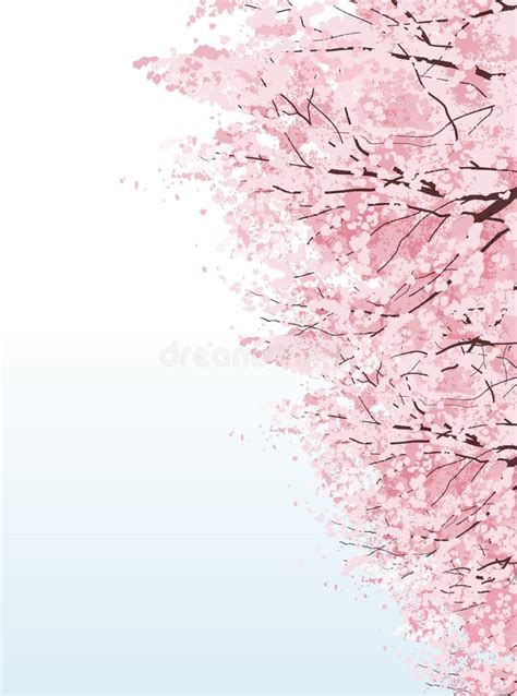 Beautiful Cherry Blossom Tree Stock Vector Illustration Of Floral