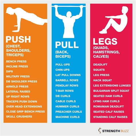 Different Forms Of Exercises Push Pull Legs Workout Push Workout