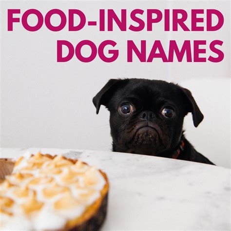 200 Delicious Food Names For Dogs And Foodies Hubpages