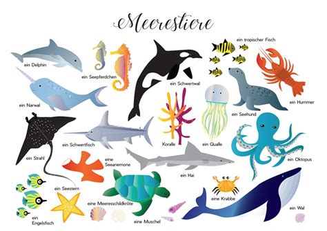Ocean Animals Sea Life Kids Ocean Bilingual Poster Animals Etsy