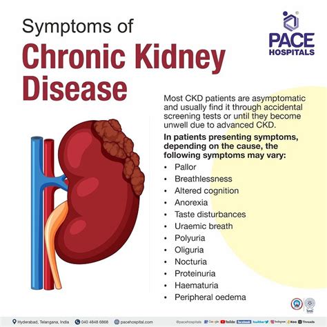 Chronic Kidney Disease Symptoms Stages Causes Risk Factors