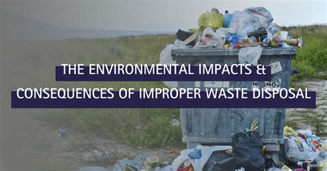 The Environmental Impacts And Consequences Of Improper Waste Disposal