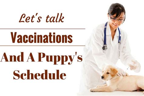 After these shots, the puppy can be enrolled in a puppy socialization class. Puppies Shots Chart, Schedule and Cost: Your Puppy ...