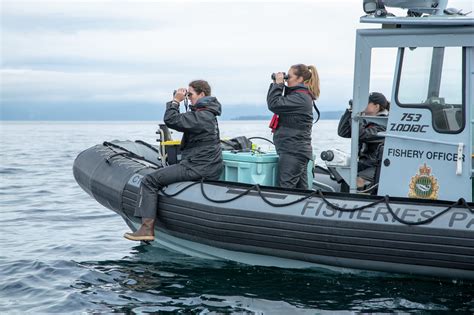 10 questions with a marine mammal rescue expert | Cottage Life