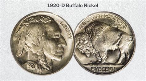 Top 20 Most Valuable Buffalo Nickels Worth Money