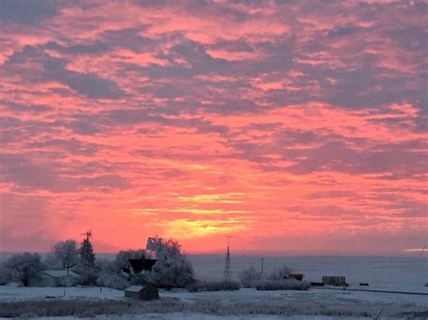 Early Morning Winter Sunrise At A Farm Northeast Of Standard Winter