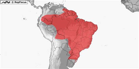 Distribution Of Erythrolamprus Miliaris RepFocus