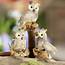 Miniature Resin Owls  Animal Miniatures Dollhouse Doll