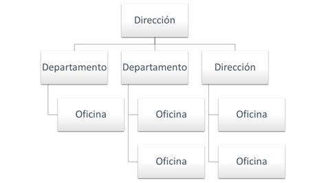 ¡los Organigramas En Una Empresa 【2021】 Tu EconomÍa FÁcil