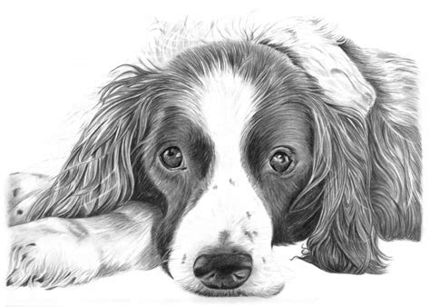 A real puppy embrace is happening here! Pencil Drawings of Dog and Puppies from Your Photos for Sale