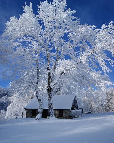 Pretty Winter Full Dose Зимние картинки Пейзажи Зимние сцены