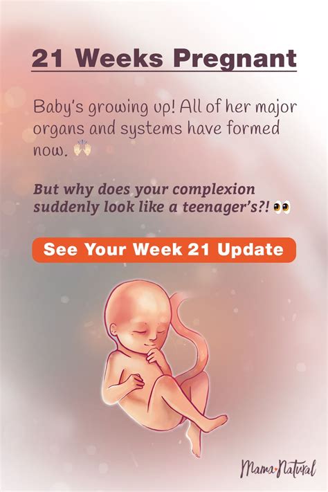 Pin On Natural Pregnancy Week By Week