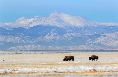 A5e3a9265 Rocky Mountain Arsenal National Wildlife Refuge Flickr