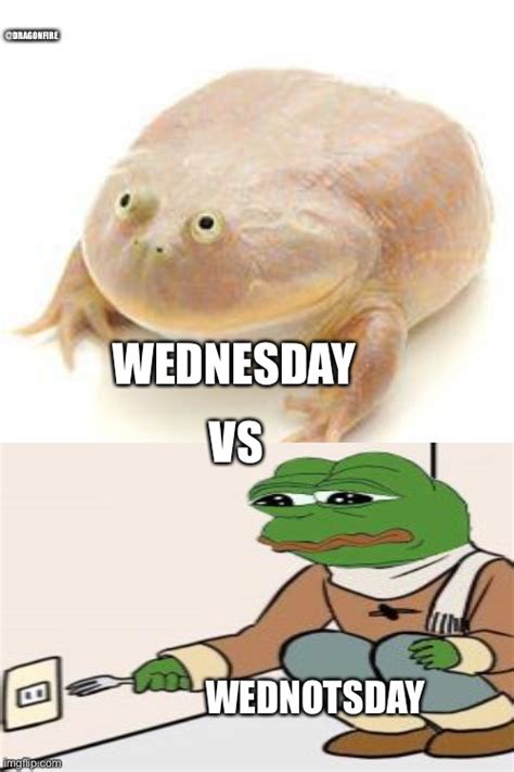 Wednesday Frog Blank Imgflip