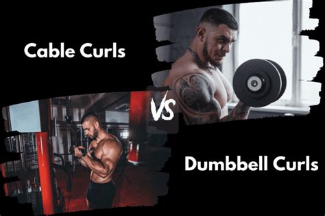 Cable Curls Vs Dumbbell Curls Is One Better Horton Barbell