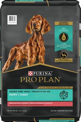 Best wet dog food for sensitive stomach always bring quick results, and once your dog becomes familiar with them, you mix it with dry food to control the cost. Purina Pro Plan Sensitive Skin & Stomach Lamb & Oatmeal ...