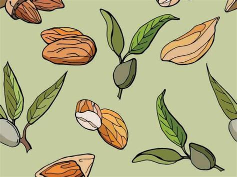 14 Different Types Of Almonds You Should Try