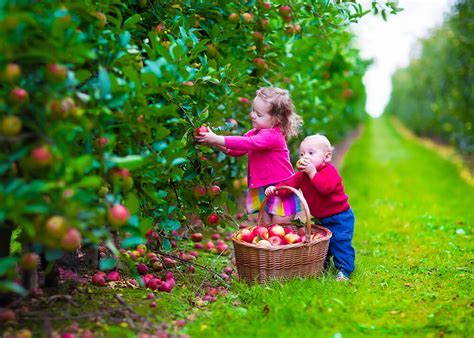 We ship fresh plants directly from our farm to the storefront so you can select your favorites from the best quality garden material available. Family Farm Tour - Delmarva Discovery Tours