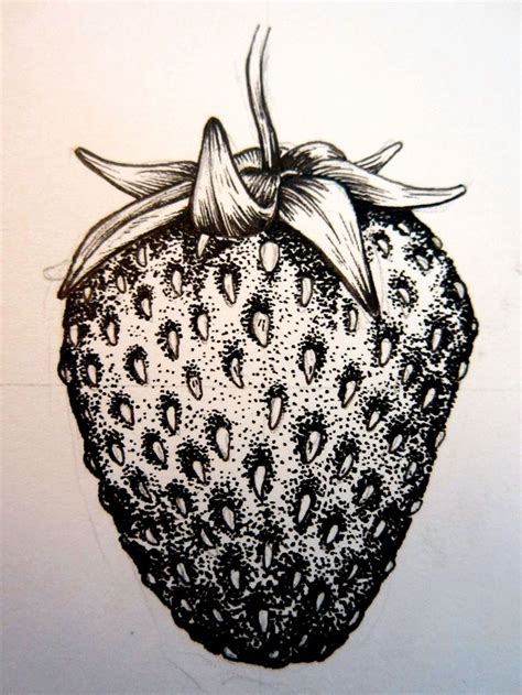 Fraise Stippling Art Pen Art Drawings Strawberry Drawing