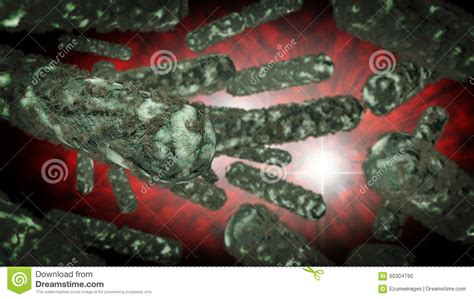 Ecoli Bacteria Cells Stock Illustration Illustration Of